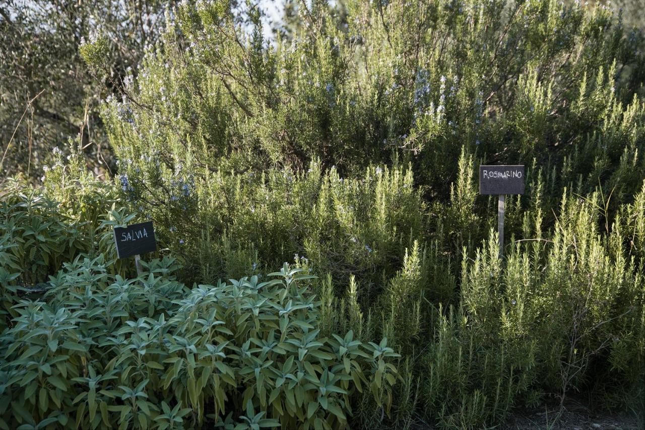 Il Villino Farmhouse Кастелліна-ін-К'янті Екстер'єр фото